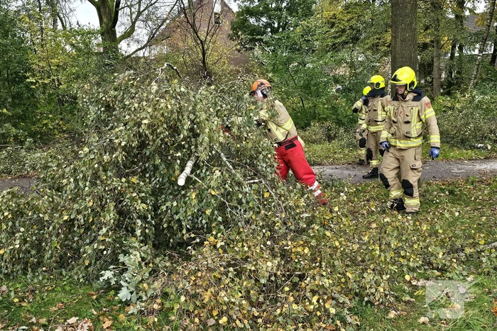 Meerdere omgevallen bomen versperren fietspad