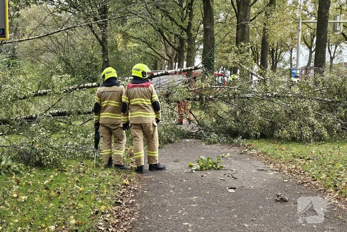 Meerdere omgevallen bomen versperren fietspad