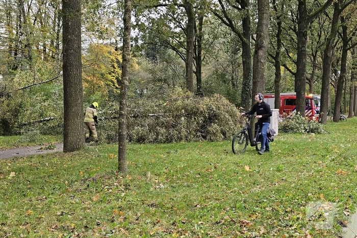 Meerdere omgevallen bomen versperren fietspad