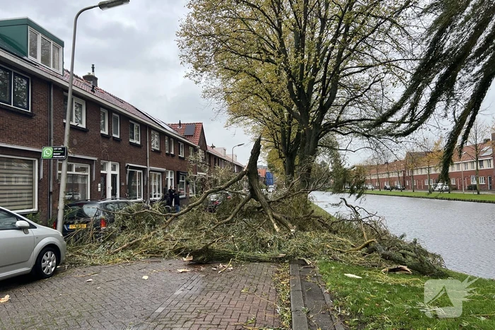 Grote tak valt uit boom auto beschadigd