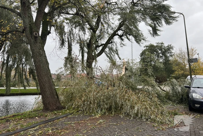 Grote tak valt uit boom auto beschadigd