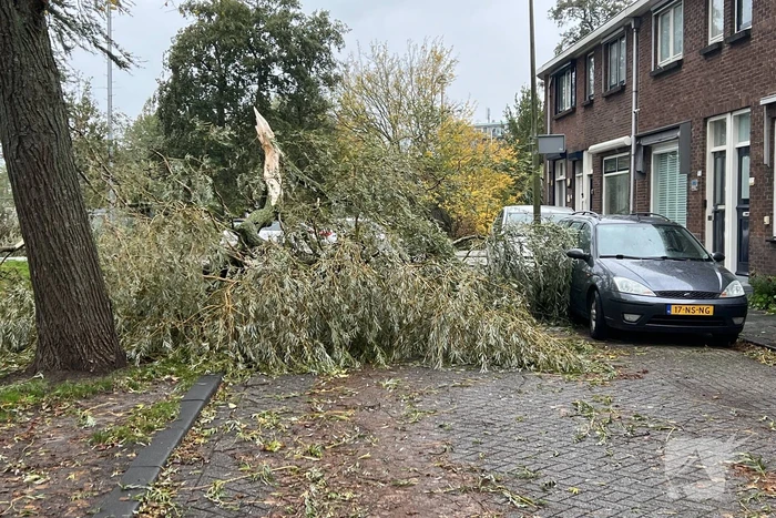 Grote tak valt uit boom auto beschadigd