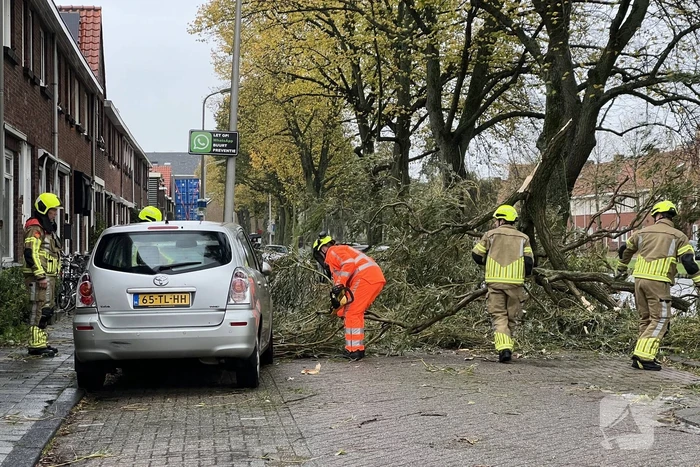 Grote tak valt uit boom auto beschadigd