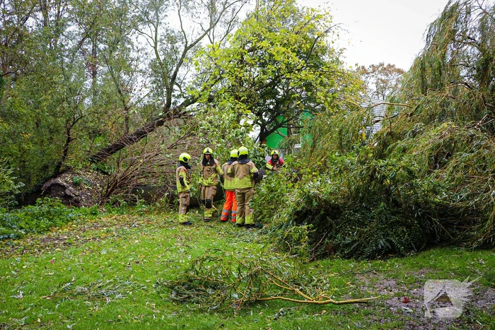 Grote boom omgevallen tegen flat