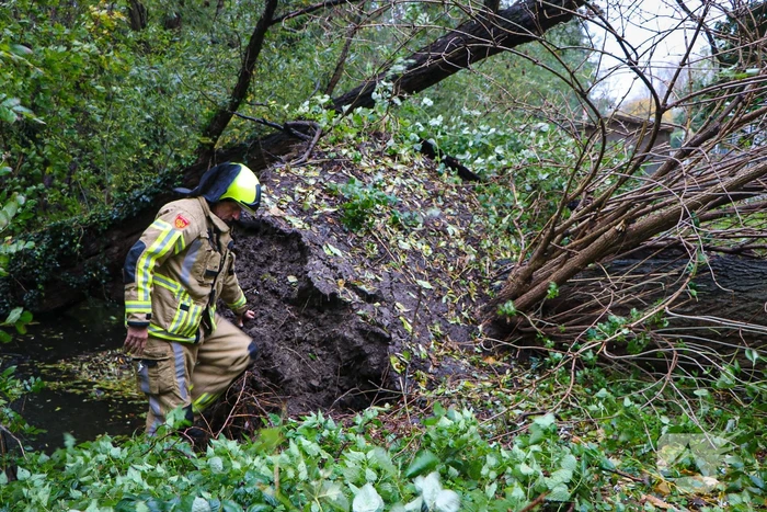 Grote boom omgevallen tegen flat