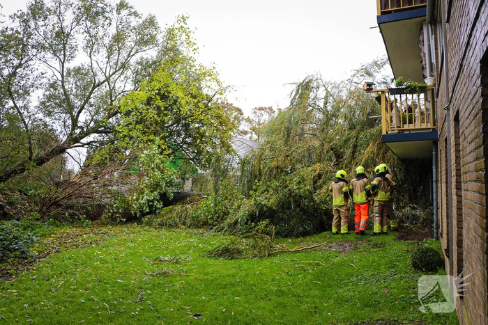 Grote boom omgevallen tegen flat