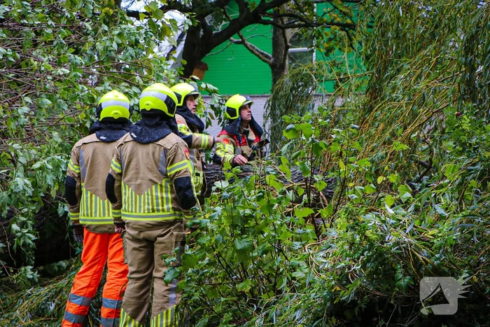 Grote boom omgevallen tegen flat