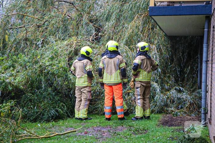 Grote boom omgevallen tegen flat