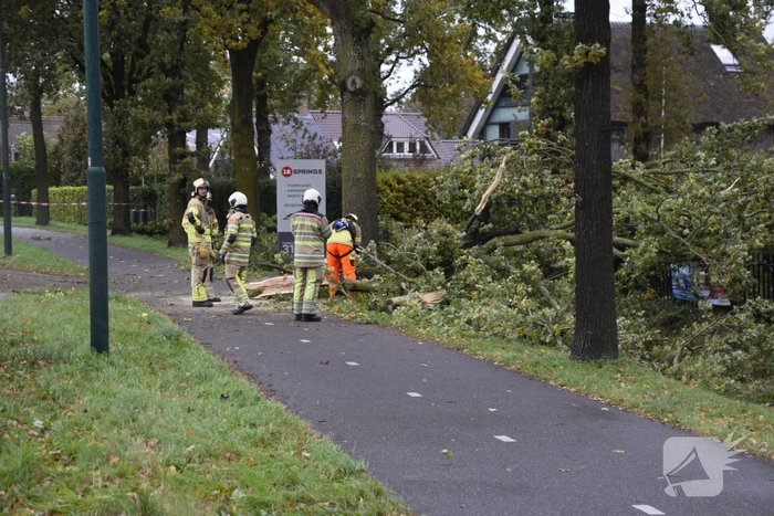 Autoladder ingezet voor gevaarlijk hangende tak
