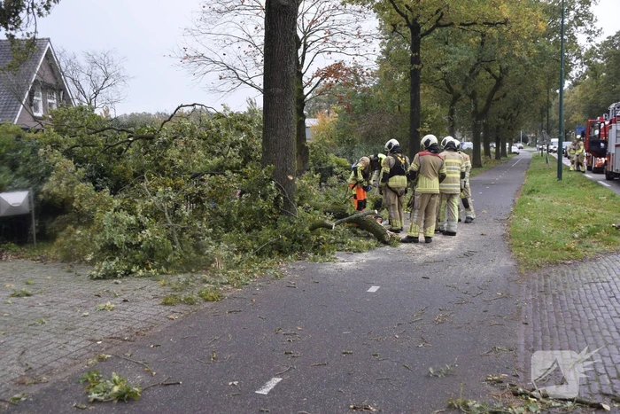 Autoladder ingezet voor gevaarlijk hangende tak