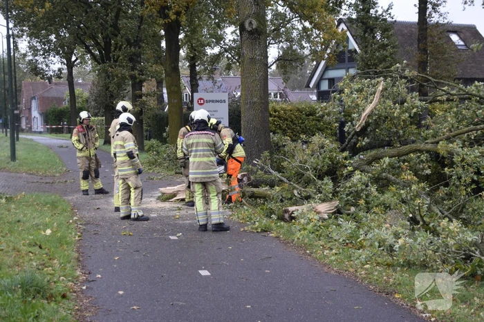 Autoladder ingezet voor gevaarlijk hangende tak