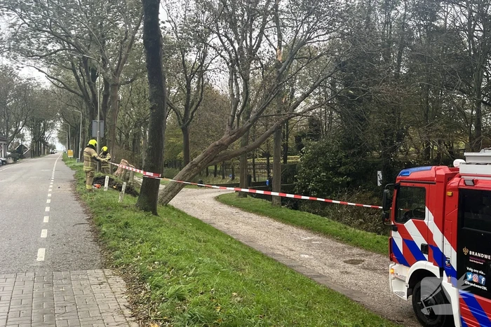Gasleiding geraakt door omgevallen boom
