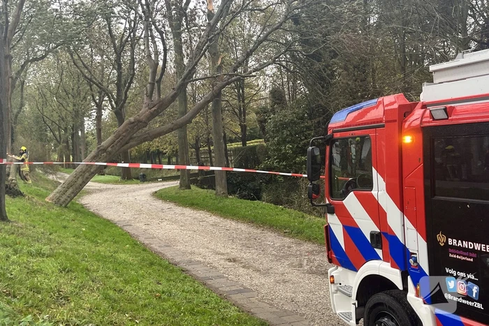 Gasleiding geraakt door omgevallen boom