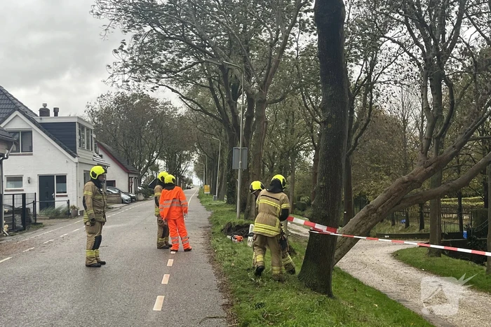 Gasleiding geraakt door omgevallen boom