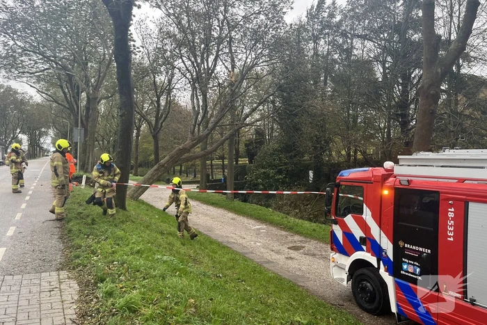Gasleiding geraakt door omgevallen boom