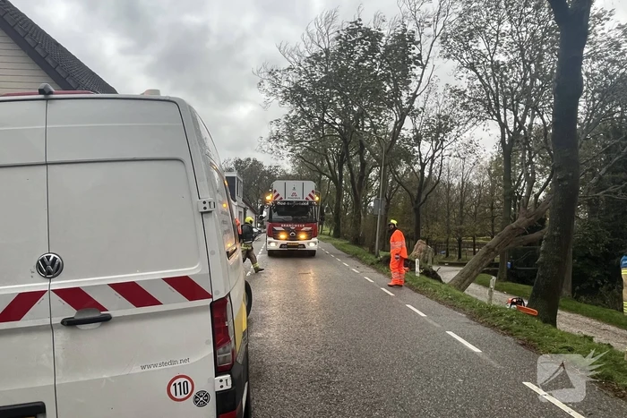 Gasleiding geraakt door omgevallen boom