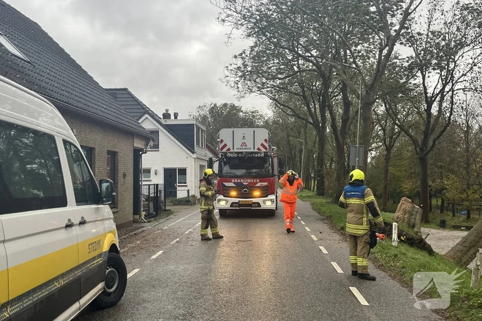 Gasleiding geraakt door omgevallen boom