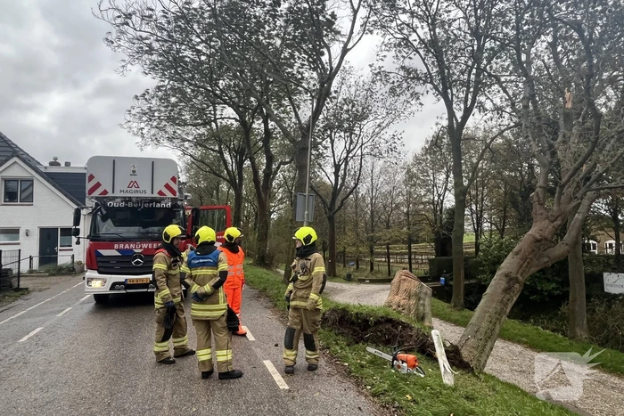 Gasleiding geraakt door omgevallen boom