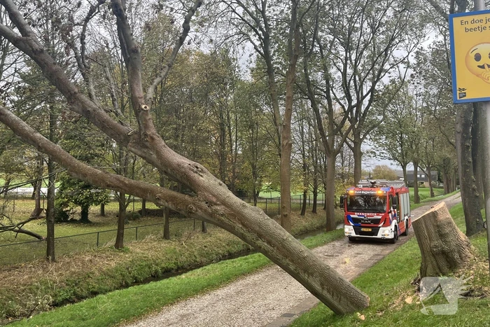 Gasleiding geraakt door omgevallen boom