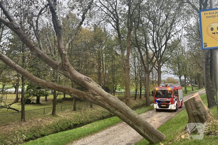 Gasleiding geraakt door omgevallen boom
