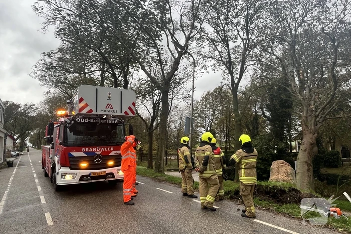 Gasleiding geraakt door omgevallen boom