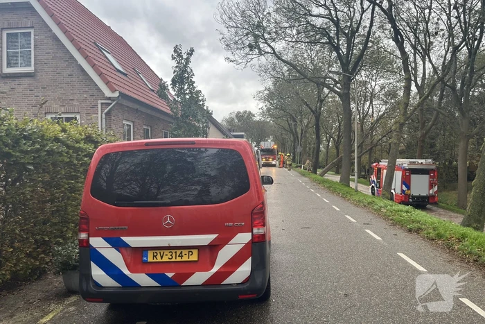 Gasleiding geraakt door omgevallen boom