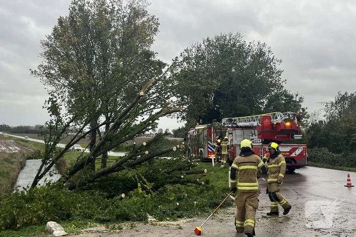 natuur middelsluissedijk westzijde numansdorp