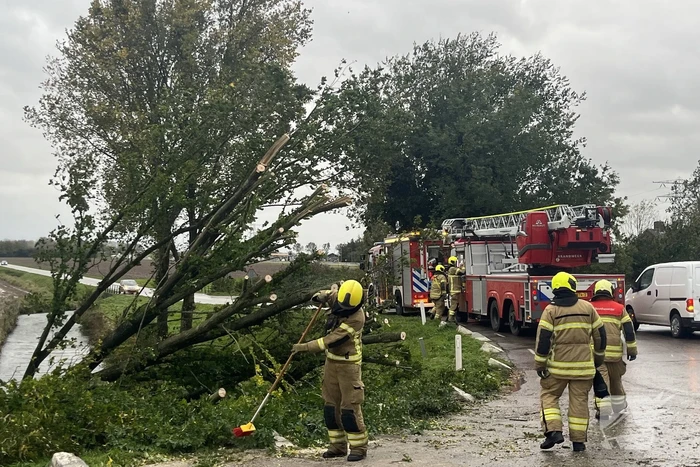 Brandweer verwijdert boom van weg