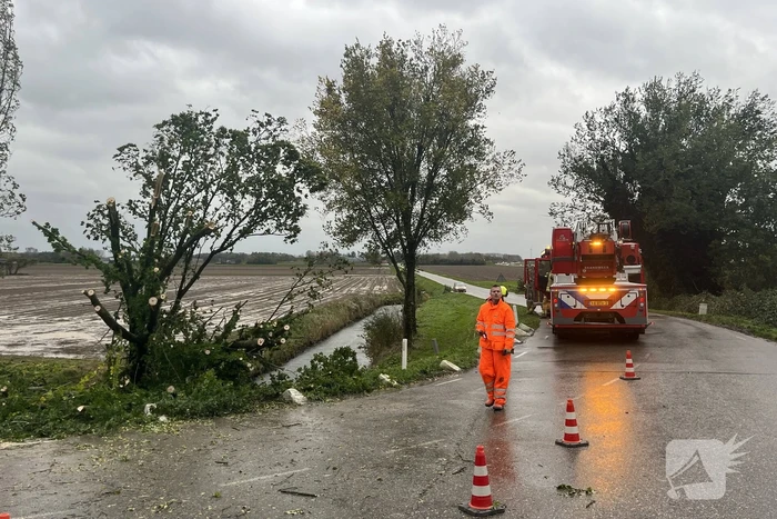 Brandweer verwijdert boom van weg