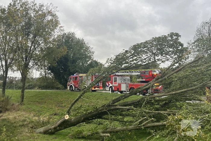 Brandweer verwijdert boom van weg