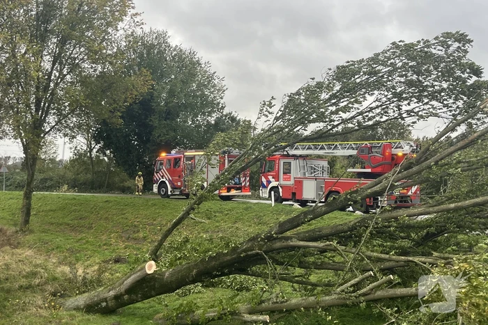 Brandweer verwijdert boom van weg