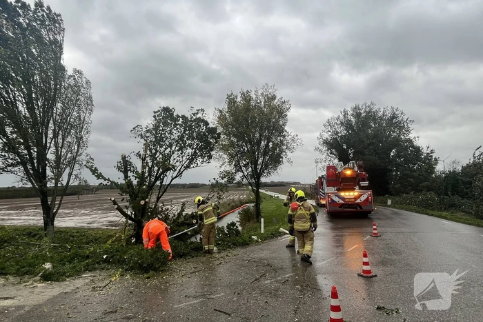 Brandweer verwijdert boom van weg
