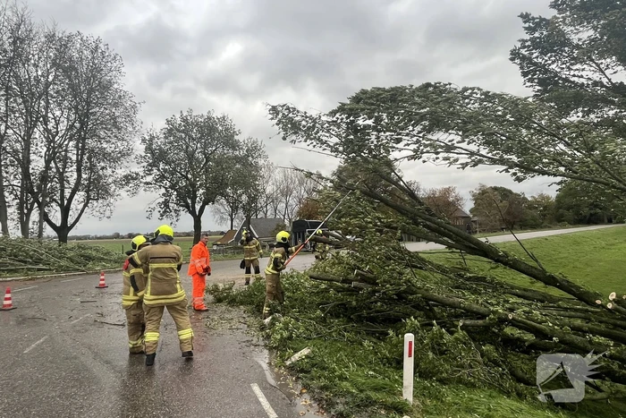 Brandweer verwijdert boom van weg