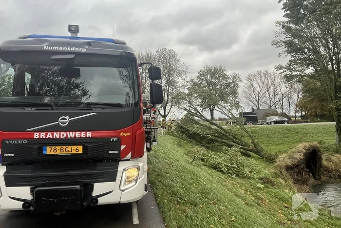 Brandweer verwijdert boom van weg