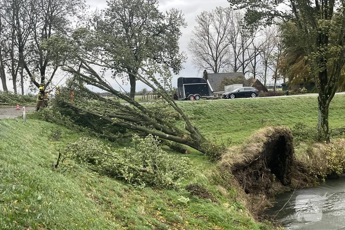 Brandweer verwijdert boom van weg