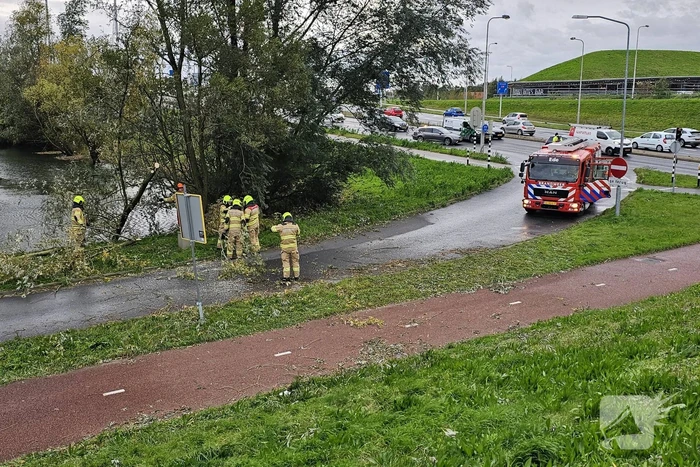 Omgevallen boom verspert weg