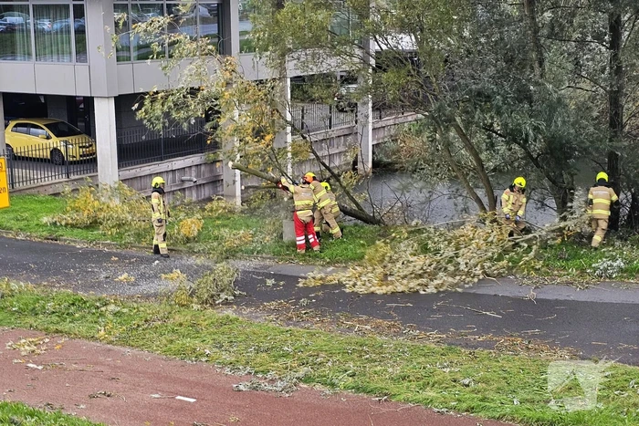Omgevallen boom verspert weg