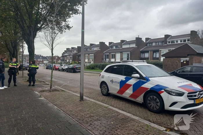 natuur schelpendam katwijk
