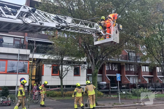 Boom dreigt door midden te breken