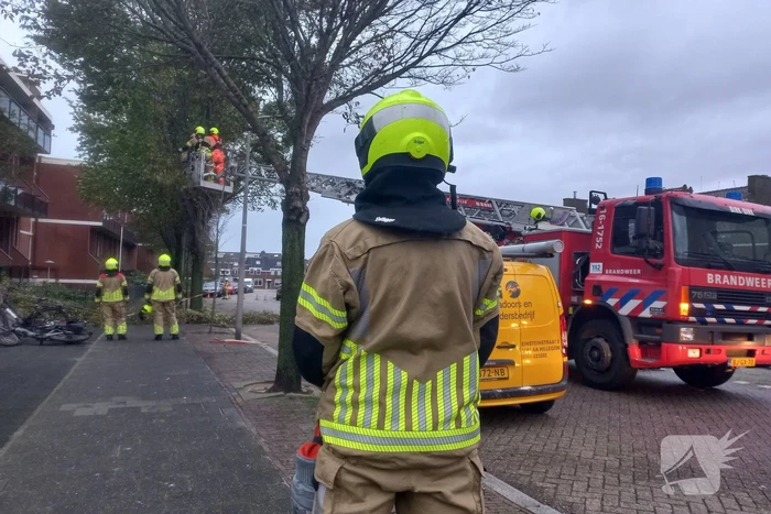 Boom dreigt door midden te breken