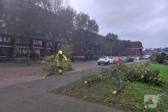Boom dreigt door midden te breken