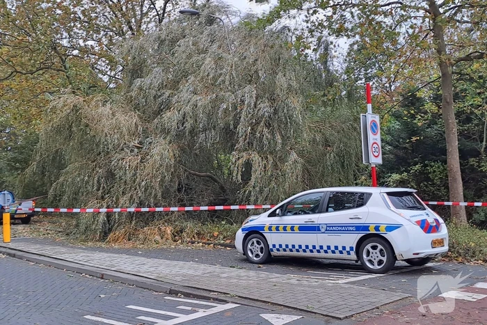 natuur goudenregensingel pijnacker