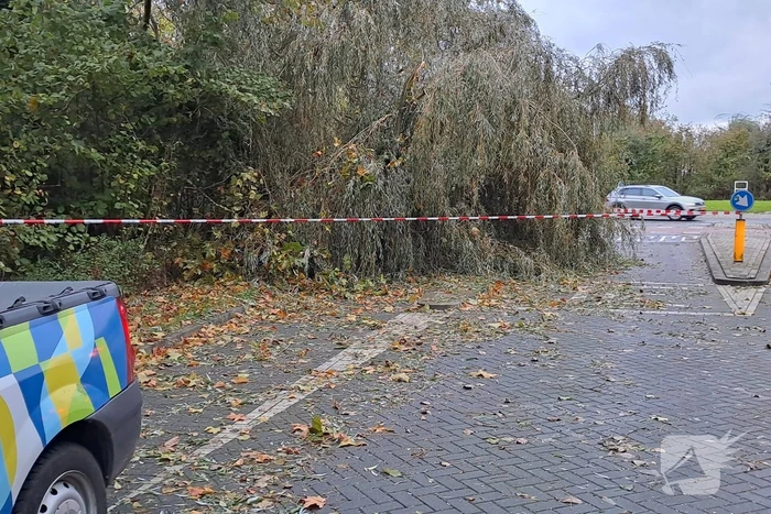 Weg verspert door omgevallen boom
