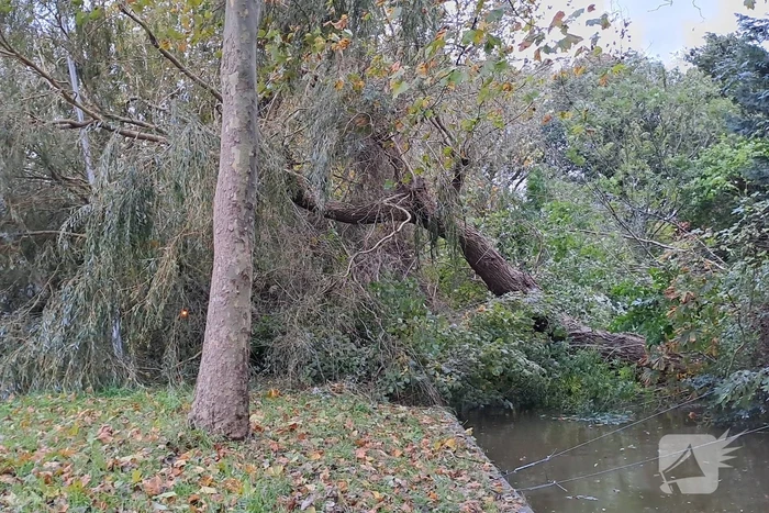 Weg verspert door omgevallen boom
