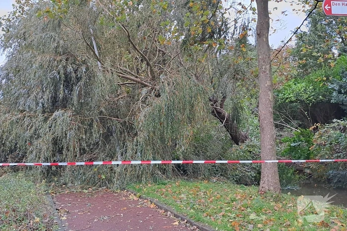 Weg verspert door omgevallen boom