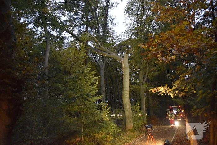 natuur verlengde arnhemseweg - n224 43,9 ede