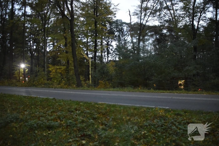 Boom dreigt op weg te vallen