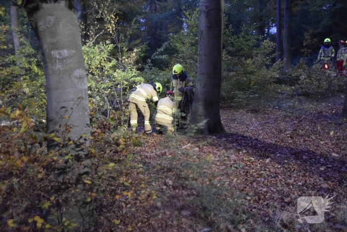 Boom dreigt op weg te vallen