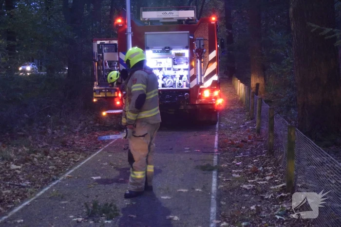 Boom dreigt op weg te vallen