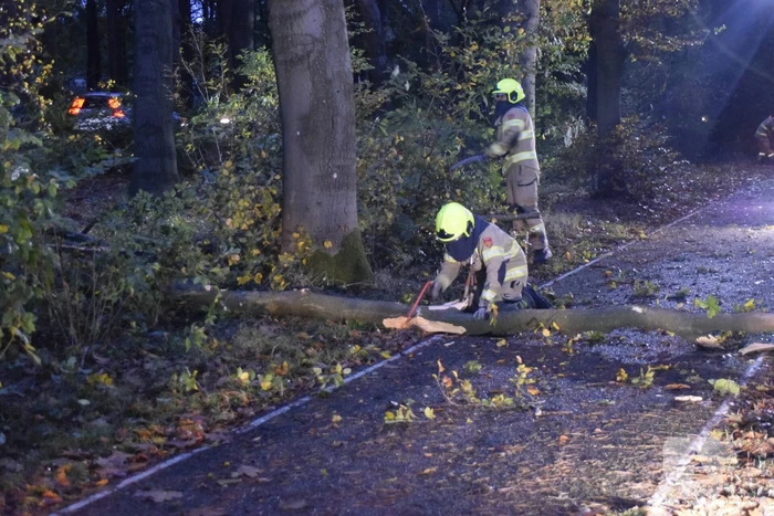 Boom dreigt op weg te vallen